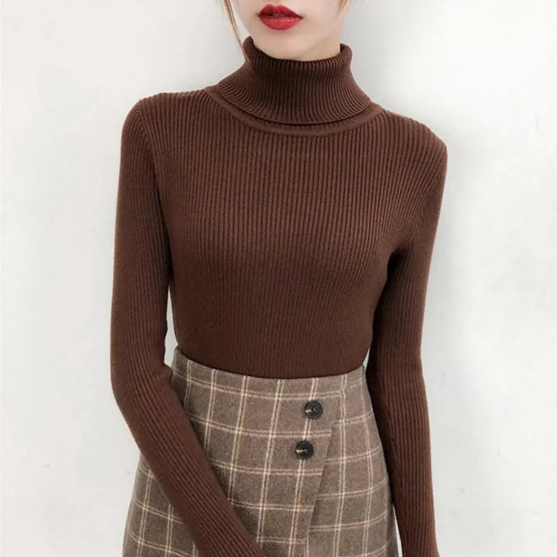 Ribbed Turtleneck (Brown)