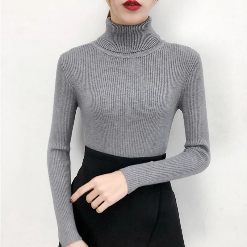 Ribbed Turtleneck (Grey)