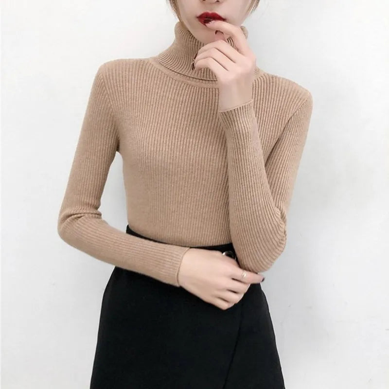 Ribbed Turtleneck (Tope)